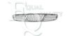 EQUAL QUALITY G0385 Radiator Grille